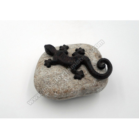 Salamandra sobre piedra A