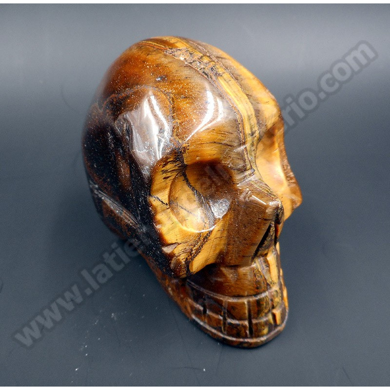 Calavera Ojo de tigre