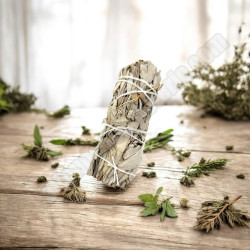 Atado de Salvia blanca de California