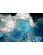 Terapia con Minerales